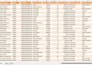 clean, format, organize and remove duplicates from excel data